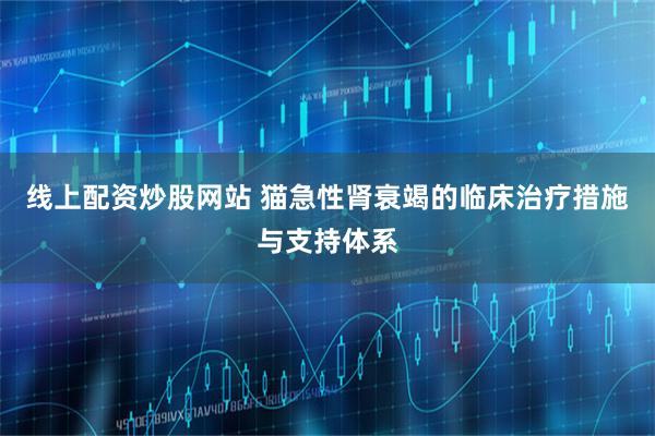 线上配资炒股网站 猫急性肾衰竭的临床治疗措施与支持体系